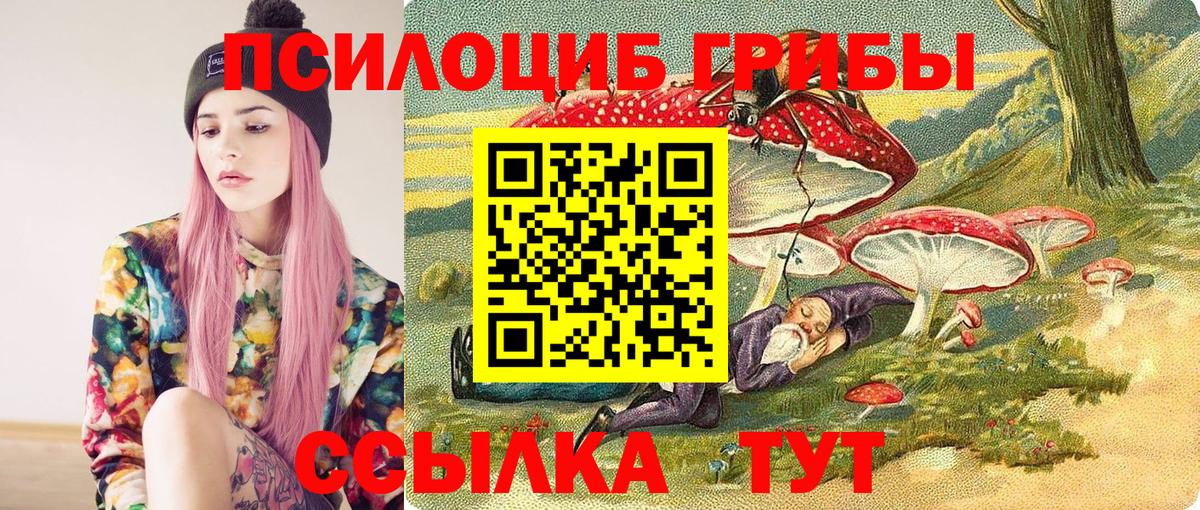 Псилоцибиновые грибы Psilocybine cubensis Димитровград
