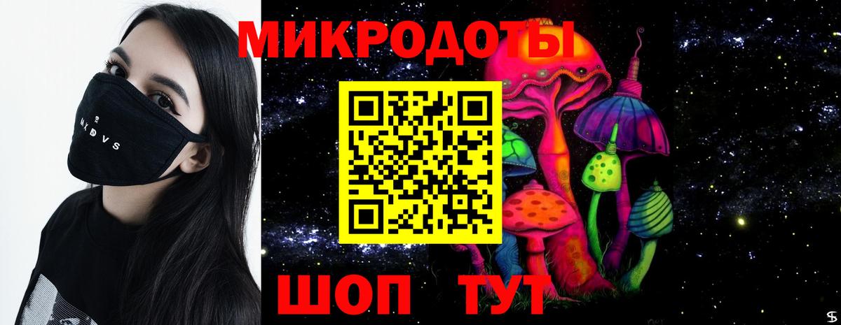 Псилоцибиновые грибы MAGIC MUSHROOMS  Вход с VPN  Димитровград  Галлюциногенные грибы Psilocybe 